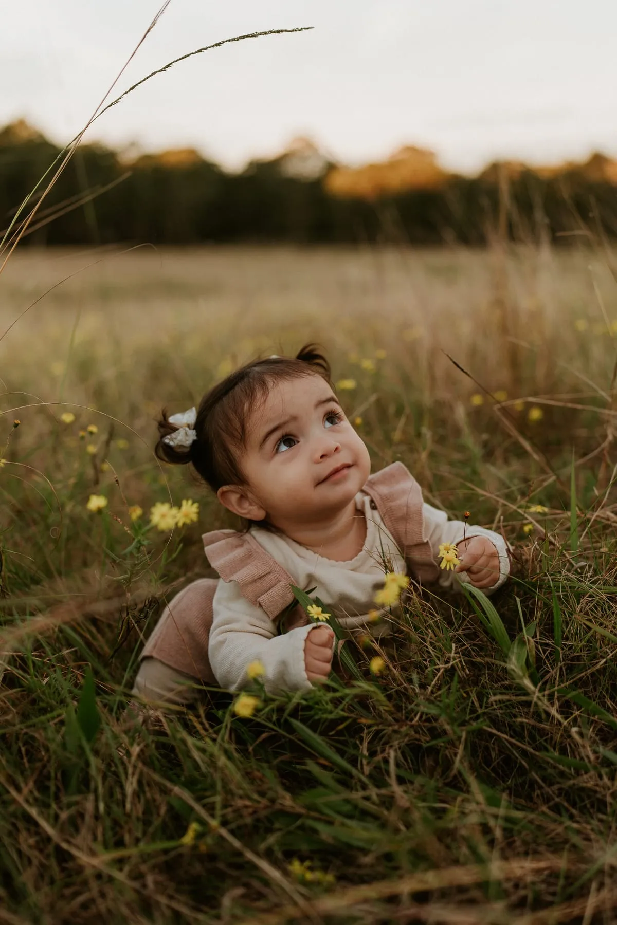 A toddler sitting in long golden grass